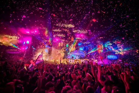 Edm n word