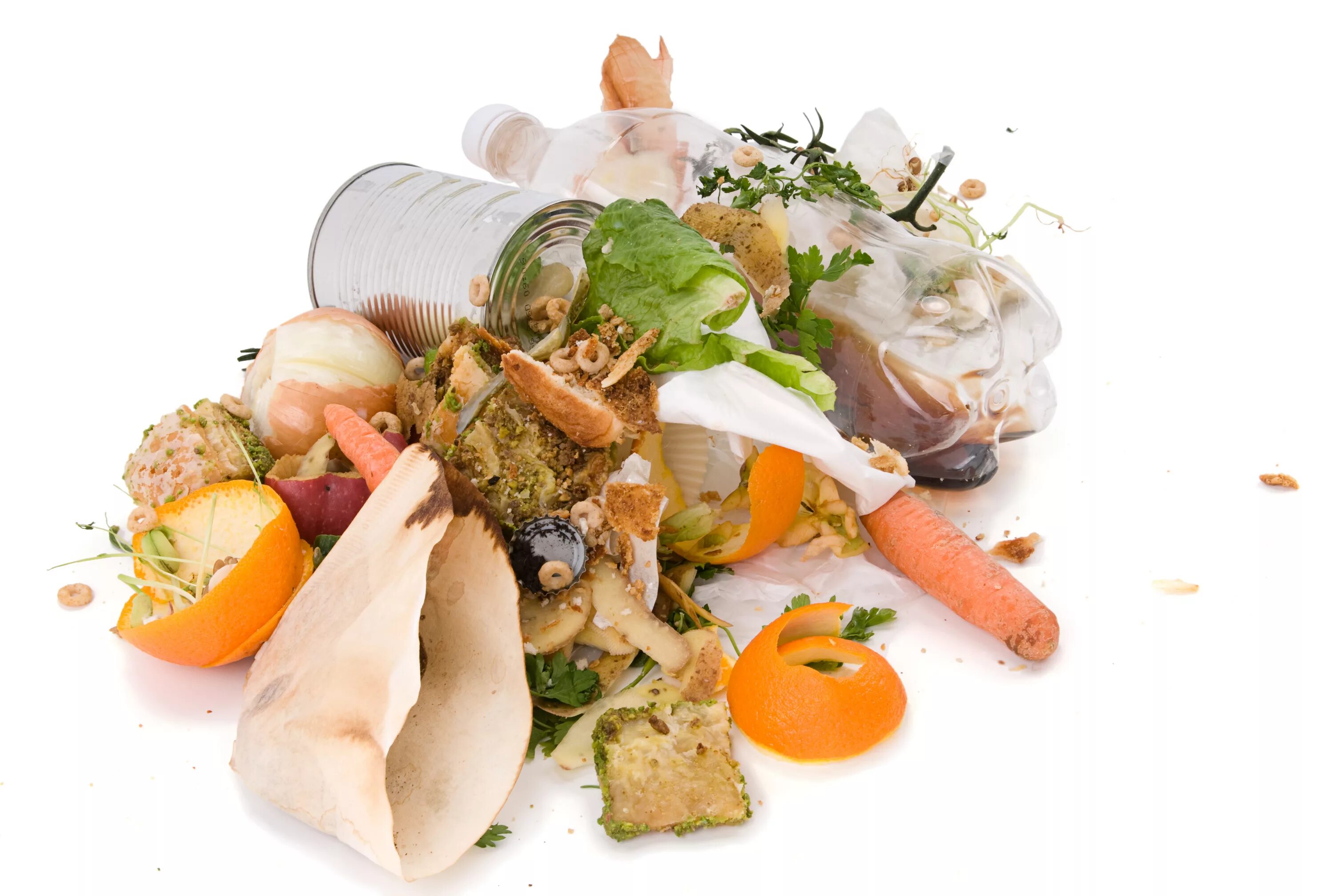 Пищевые отходы кухонь и организаций. Пищевые отходы. Остатки пищи. Пищевые отходы на белом фоне. Пищевые отходы для детей.