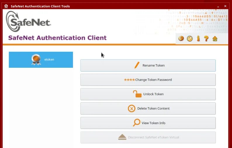 Client auth. SAFENET токен. SAFENET authentication client Tool. Программа SAFENET. Электронный ключ SAFENET ETOKEN 5110.