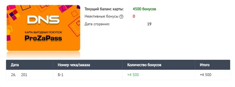 Бонусная карта DNS. Бонусы прозапас DNS. Карта прозапас ДНС. Бонусы PROZAPASS. Карта днс узнать баланс