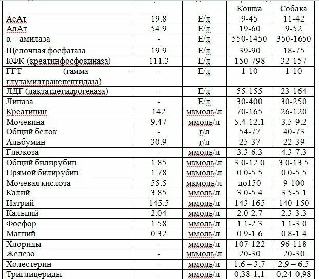 Кфк в биохимическом анализе повышен. Креатинфосфокиназа в биохимическом анализе. Креатинкиназа МВ У детей норма таблица. Креатинкиназа анализ. Креатинфосфокиназа анализ.