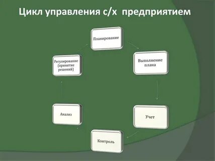 Цикл отдел