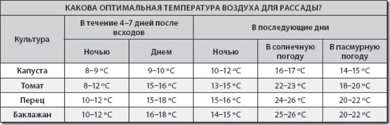 Какая температура должна быть для перца. Температурный режим при выращивании рассады. Температурный режим для рассады томатов и перца в теплице. Какую температуру выдерживает рассада. Температура для рассады перца.