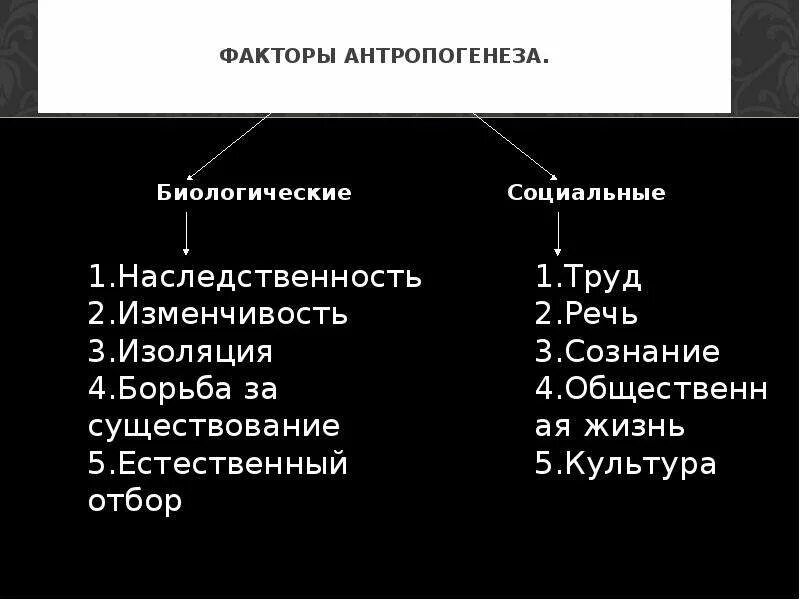 Схема движущие силы антропогенеза биологические и социальные. Движущие силы антропогенеза таблица группа факторов. Движущие силы антропогенеза таблица биологические факторы. Антропогенез факторы антропогенеза.