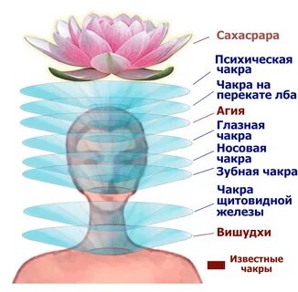 Сахасрара чакра это