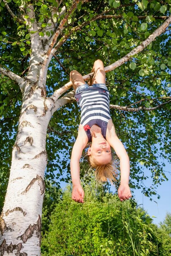 Висит на березки. Вниз головой на дереве. Дерево для детей. Висит на дереве. Девочка висит на дереве.