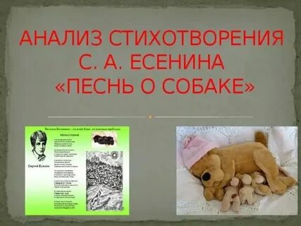 Есенин стихотворения песни о собаке