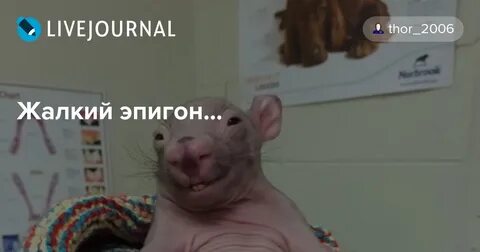 Эпигон