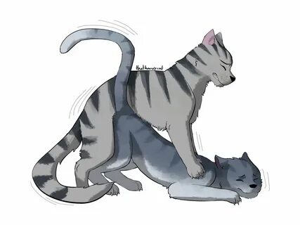 thathornycat, graystripe (warriors), silverstream (warriors), warriors (cat...