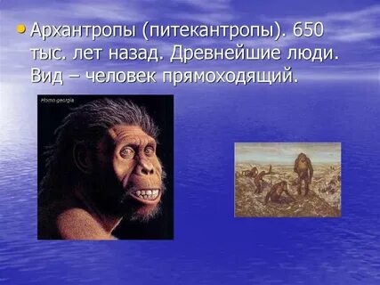 К предкам человека не относится питекантроп
