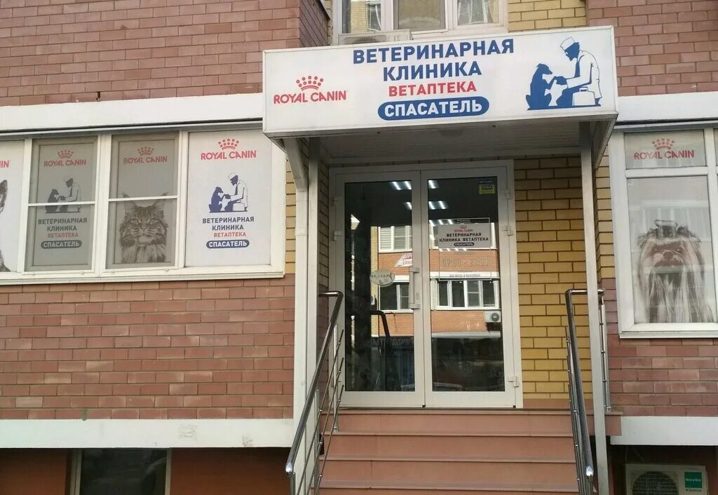 Ставропольская 268 краснодар. Ветеринарная краснодар. Достоевского 105. Чекистов 24/1 краснодар. Ветеринарка краснодар.