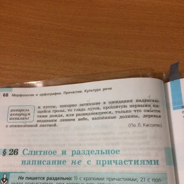 Коля рисовал поля которые