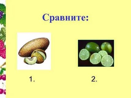 Горох односемянный