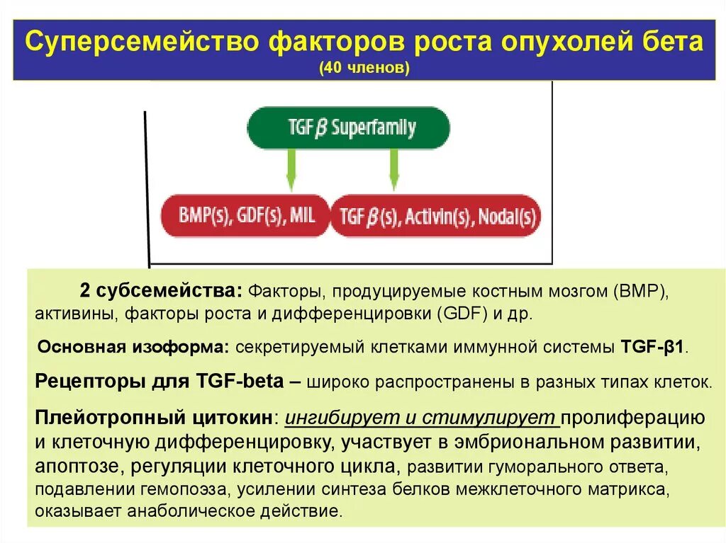 Факторы роста опухоли. Факторы способствующие опухолевому росту. Факторы опухолевого роста. Факторы, способствующие росту опухоли. Фактор роста результаты