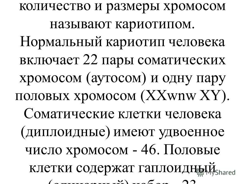 Количество аутосом в соматической клетке человека. Число хромосом в клетках печени человека. Сколько аутосом в половых клетках человека. Количество аутосом в соматических клетках.