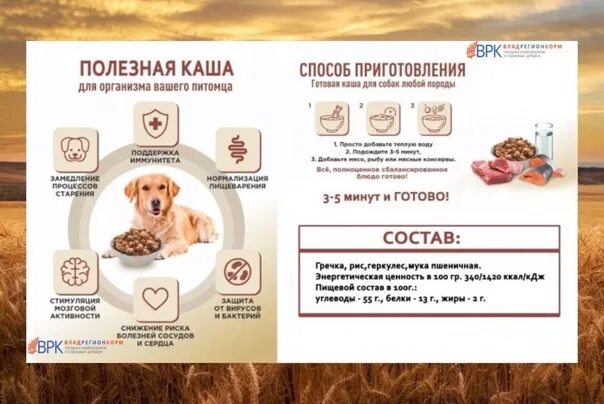 Можно ли давать собакам крупы