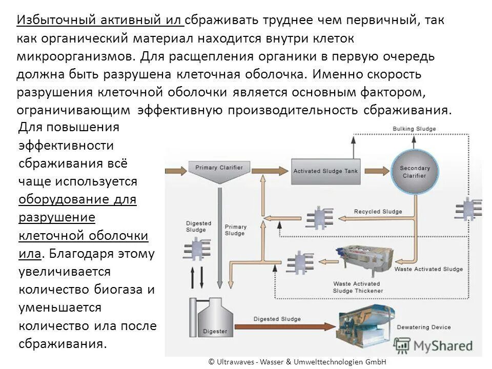 иловый осадок очистных сооружений. избыточный ил. избыточный ил. всплывший ил в аэротенках. ил очистных сооружений.