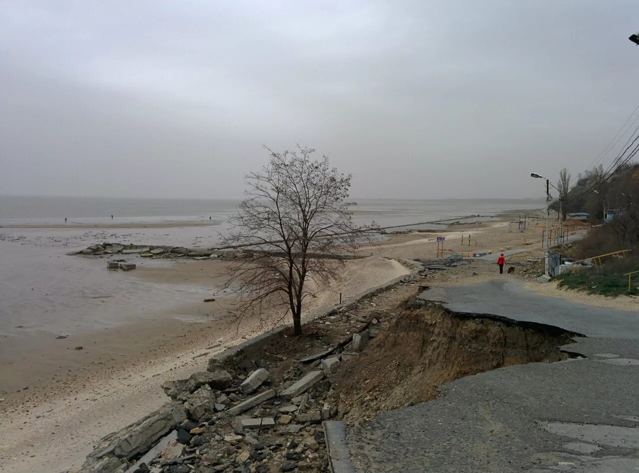Пляж в таганроге на азовском море. Михайловка таганрог пляж. Собачий пляж таганрог фото. Собачий пляж таганрог. Таганрог пляж елисеевский.