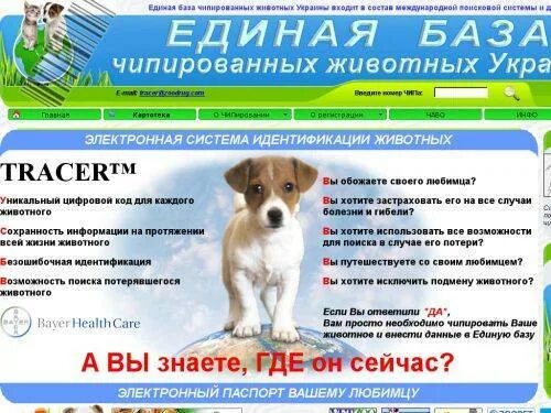 Animal id база. База данных чипированных собак. База чипированных собак. Базы чипирования животных. Микрочип для собак база данных.