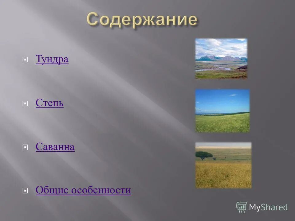 Степи и лесостепи таблица. Особенности рельфа тундры и степ. Климатическая зона тундра. Вывод тундры и степи. Тундра и степь отличия.