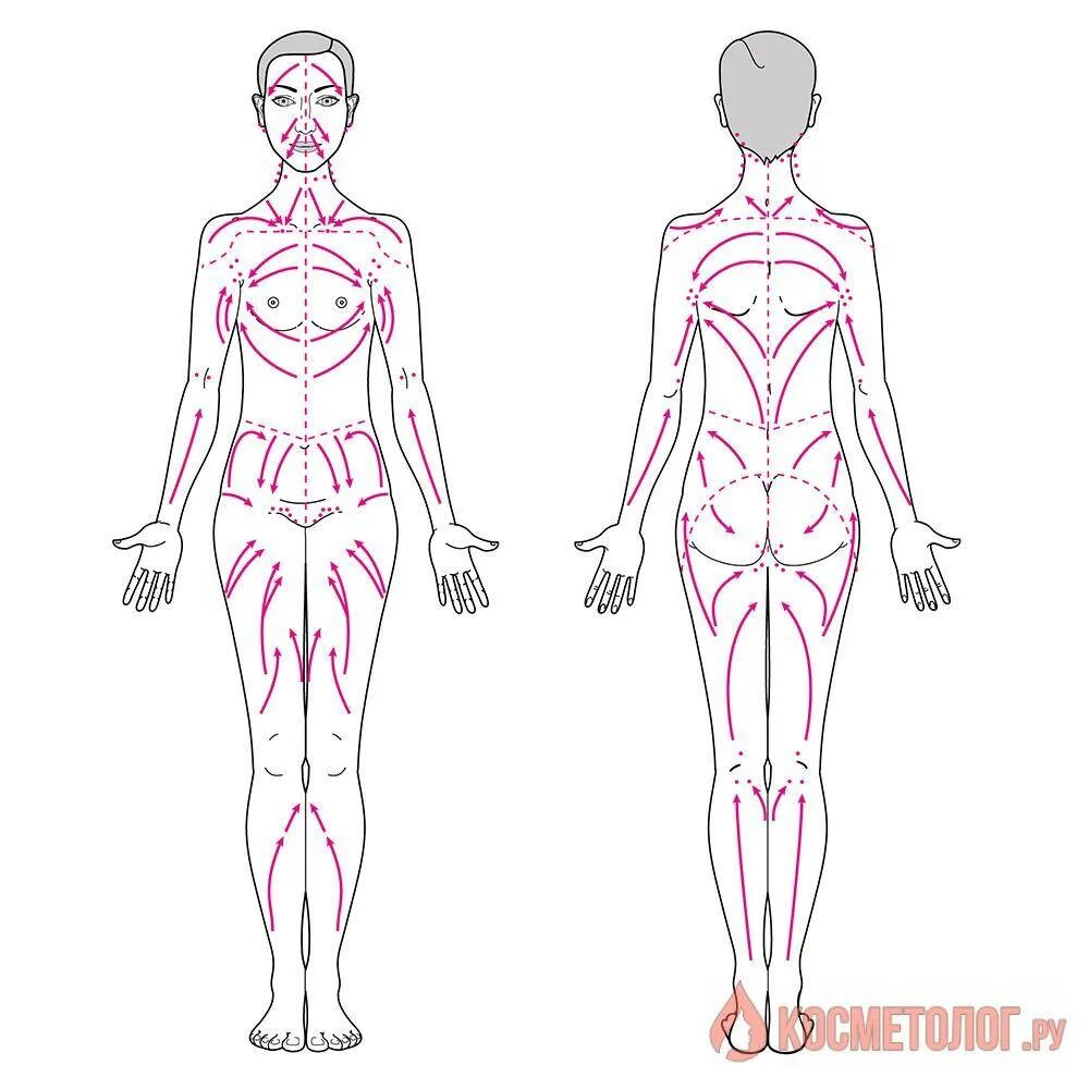 Как делать лимфодренажный массаж в домашних. Массажные линии тела схема лимфа. Схема лимфодренажного массажа тела. Лимфатическая система человека схема движения лимфы массаж. Лимфатическая система человека лимфодренажный массаж.