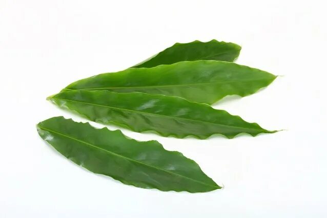 Кармадон специя. Кардамон красный. Черный кардамон (amomum subulatum). Зеленый кардамон индия. Кардамон зелень.