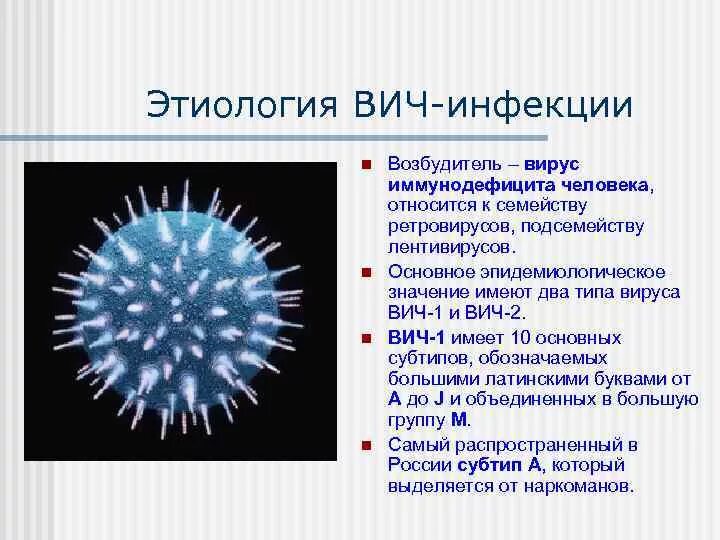 Возбудитель ВИЧ инфекция вирус. Вирус ВИЧ этиология. Возбудитель СПИДА патогенез. Этиология морфология возбудителя ВИЧ. Поражаемые структуры спида