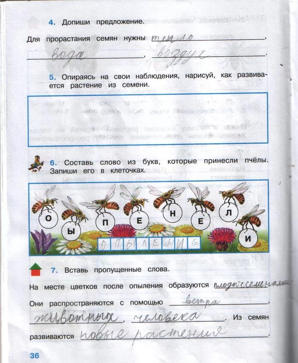 Окружающий мир тетрадь страница 48 3 класс. Окружающий мир 3 класс рабочая тетрадь 1 часть стр 36 номер 4 ответы. окружающий мир 3 класс рабочая тетрадь 1 часть стр 36 номер 1 ответы. окружающий мир 3 класс рабочая тетрадь 1 часть стр 37 номер 3 ответы. окружающий мир 3 класс рабочая тетрадь 1 часть стр 36 номер 3 4 ответы.