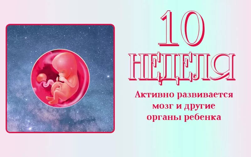 10 октября неделя. Размер эмбриона в 10 недель. Размер плода в 9-10 недель беременности. Ребёнок в 10 недель беременности размер плода.