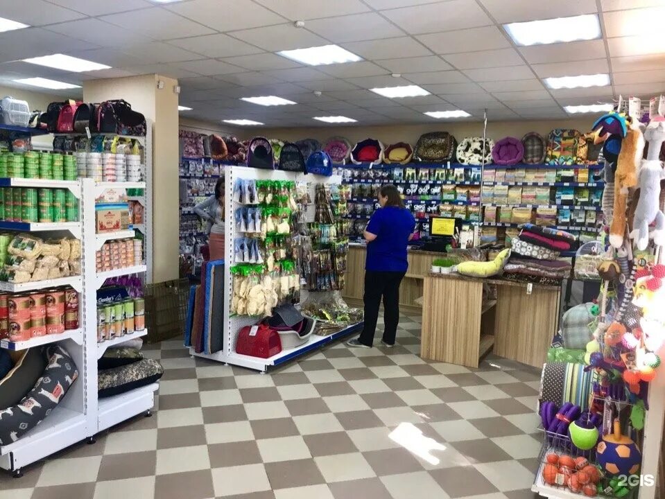 зоомагазин кот и пёс тамбов. зоомагазин в кизляре. зоомагазины в москве. вывеска магазина для животных. кот и пёс зоомагазин саранск.