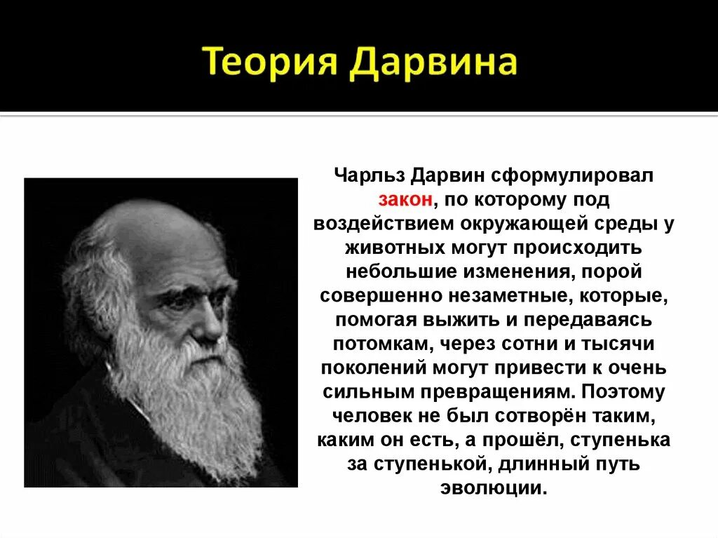 Эволюционная теория Чарльза Дарвина. Теория эволюции Дарвина.