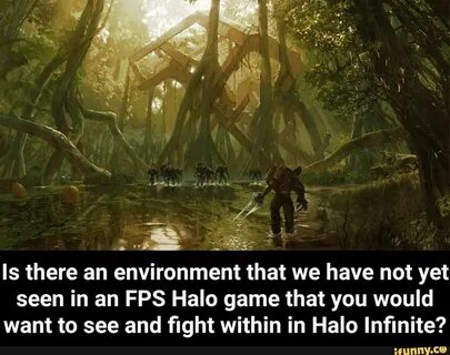 Environment there are many