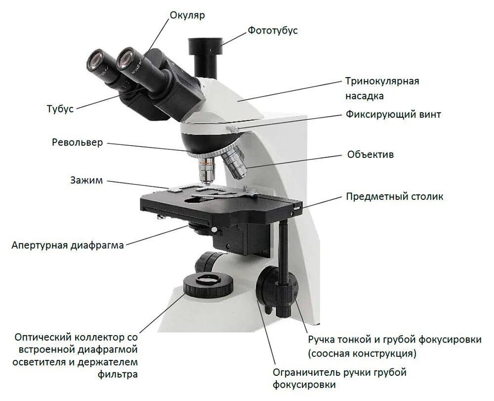 Цифровой микроскоп строение с подписями и названиями. Оптический цифровой микроскоп Микромед. Строение микроскопа Levenhuk. Микроскоп строение микроскопа. Микроскоп строение светового микроскопа.