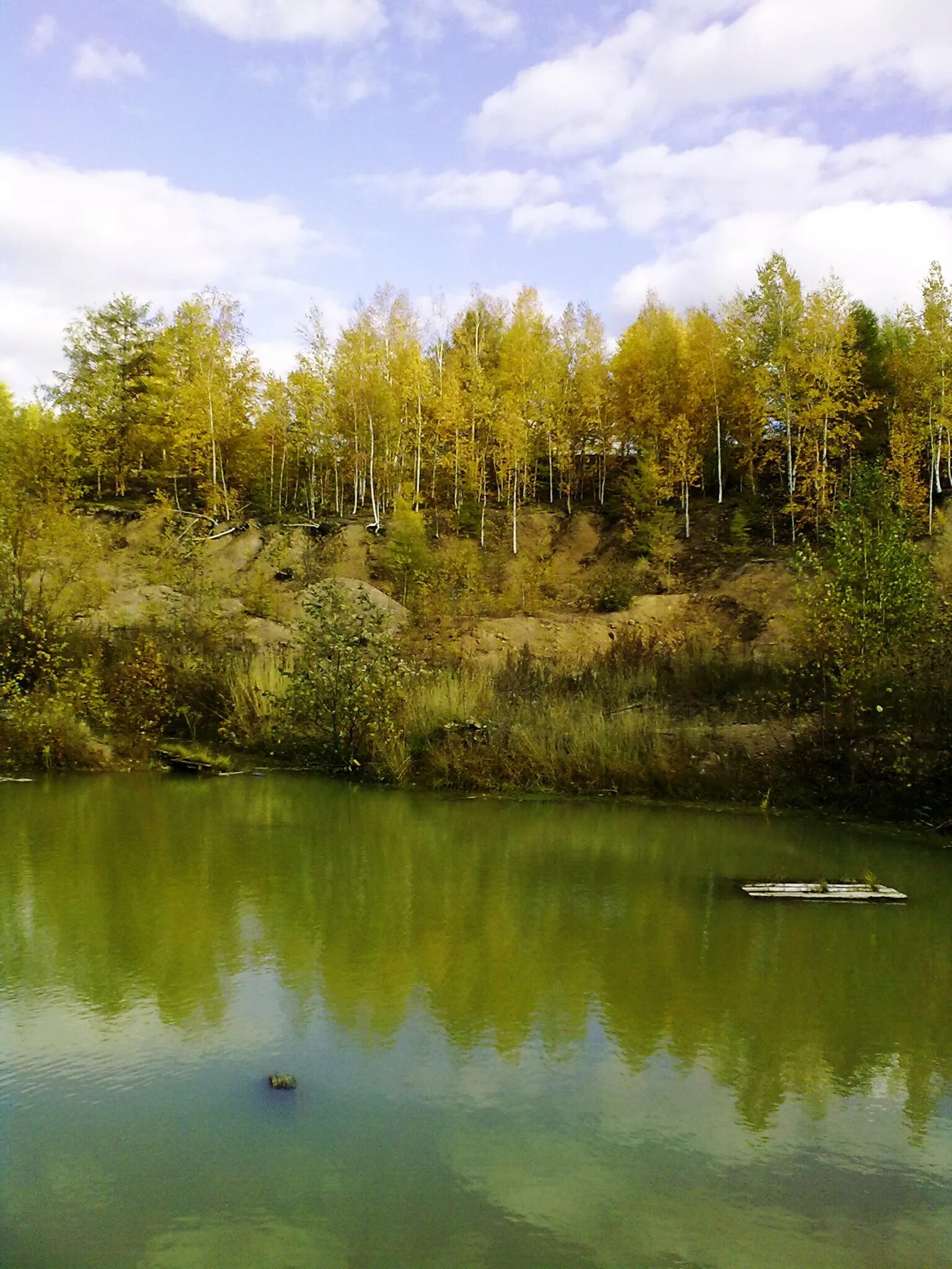 Большие Озерцы Лужский район. Озеро озерцо Ленинградская область. Озеро хака Хабаровский. Озеро золотое Хабаровский край.