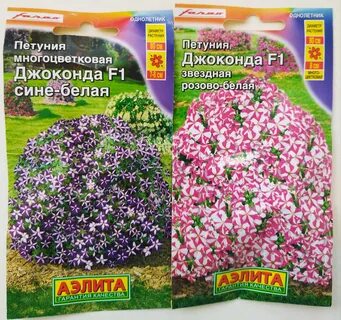 Джоконда сатурн голубая