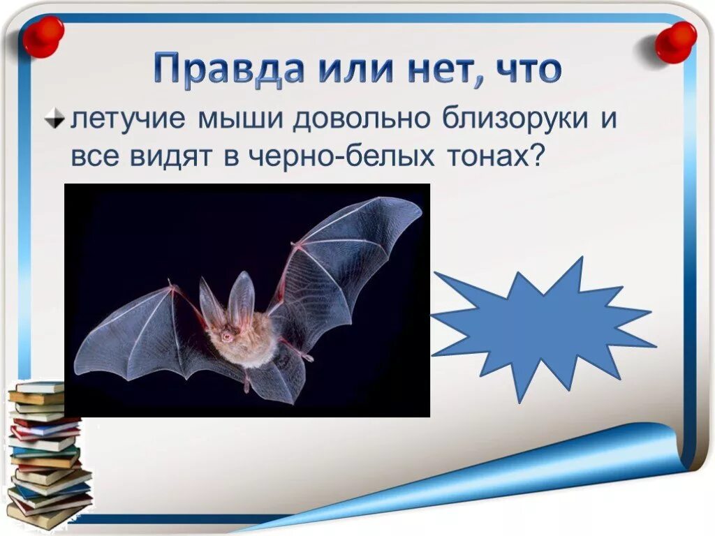Стихи про летучую мышь