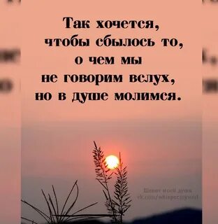 ты проснёшься на рассвете картинки нежные. душевные пожелания с добрым утром. на рассвете я просыпаюсь туман шуршит. какое счастье встретить новый день. когда встал на рассвете.