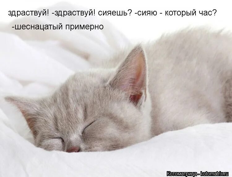 Сияешь сияю который час двенадцатый примерно. Космическая девушка. Время сиять. Сияешь сияю который час двенадцатый примерно. Здравствуй сияешь сияю.