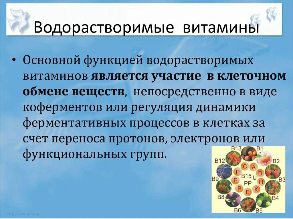 Функциональная роль водорастворимых витаминов. Характеристика водорастворимых витаминов. Основная роль водорастворимых витаминов. Функции витаминов. Водорастворимый витамин c