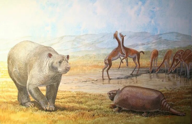 Картинки первые животные Australian researchers identify new species of extinct marsupial lion Animals Th