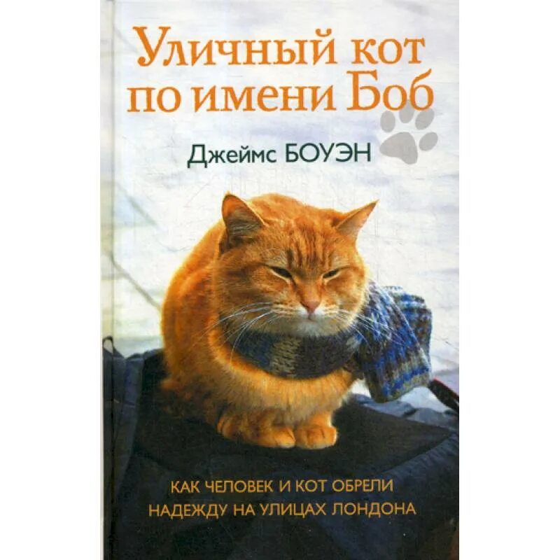 Книга про боба. Кот по имени Боб книга.