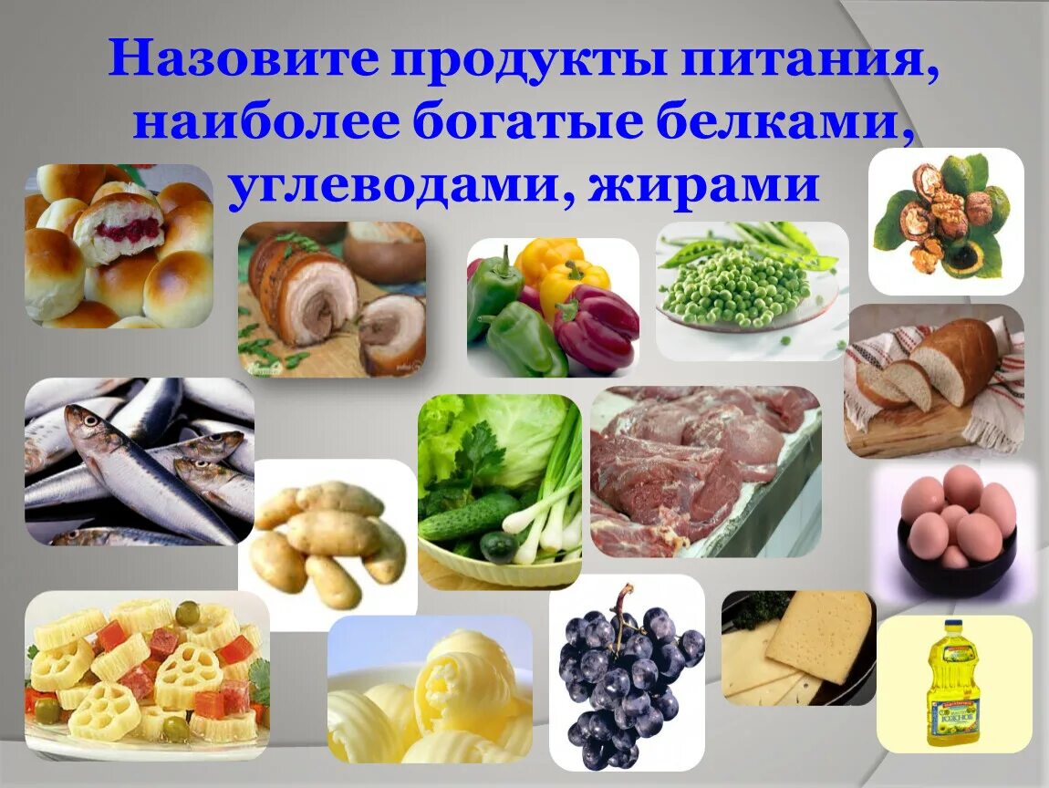 Продукт питания 8 букв. Продукты богатые углеводами жирами и белками. Пища богатая углеводами и жирами. Продукты богатые углеводами жирами. Пища богатая белками и углеводами.