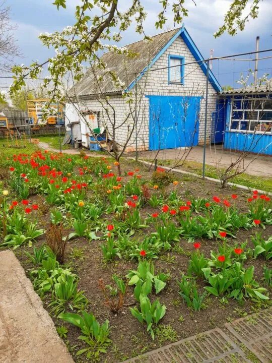 Село николаевка вейделевский район. Николаевская средняя школа вейделевского района. Николаевка вейделевский район белгородская область. Школа николаевка вейделевка. Николаевка вейделевский район.
