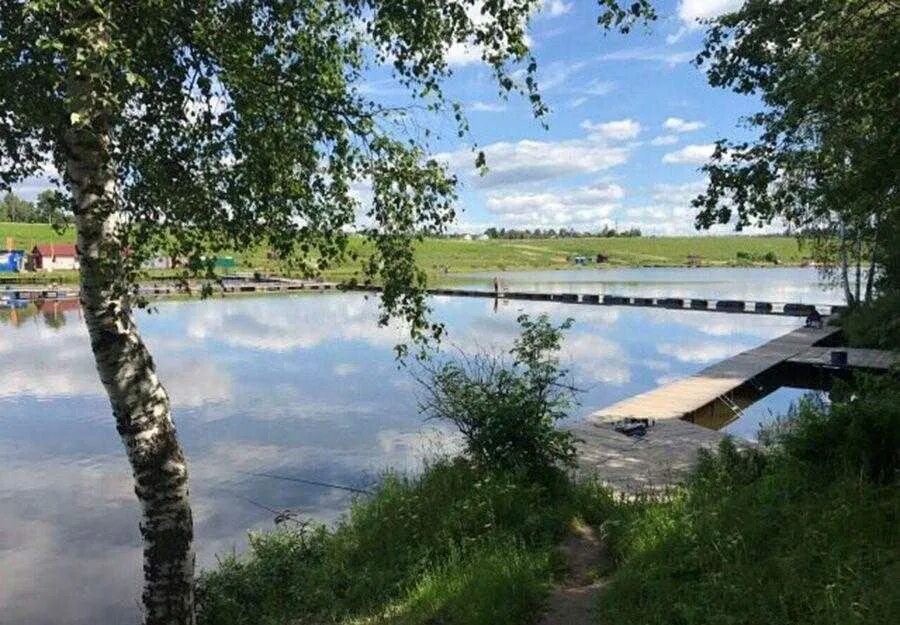 Савельево 1 платная рыбалка. Озеро Савельево Солнечногорский район. Пруд Савельево Солнечногорский район. Савельевский пруд Солнечногорск.