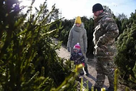Елочный базар белгород