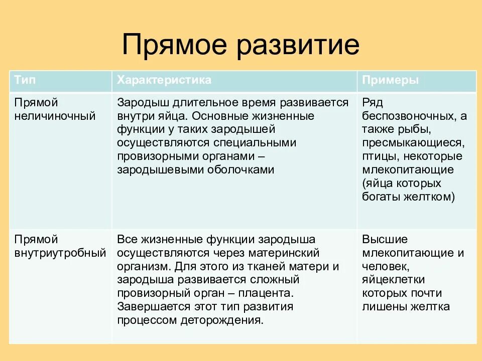 Характеристика прямого развития животных. Постэмбриональное развитие прямое и Непрямое примеры. Прямое развитие. Прямой Тип развития примеры. Прямое развитие примеры.