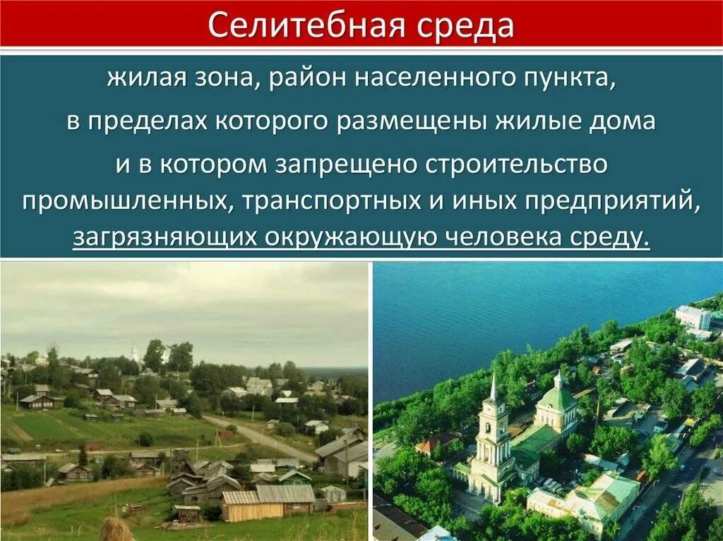Дайте определение территории