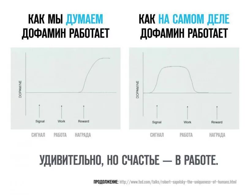 Дофаминовая зависимость. Выработка дофамина график. График выброса дофамина. График повышения уровня дофамина. Выделение дофамина.