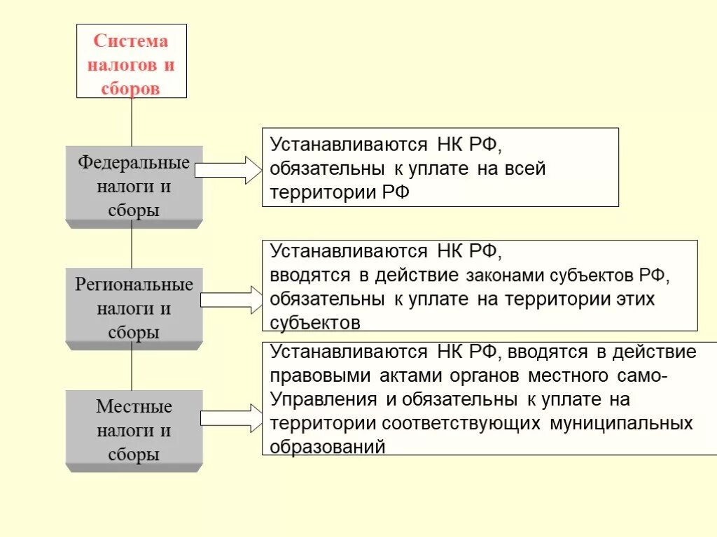 Система налогов. Структура налоговой системы РФ. Схема налогов и сборов в РФ. Система налогов НК РФ. Региональные сборы нк рф