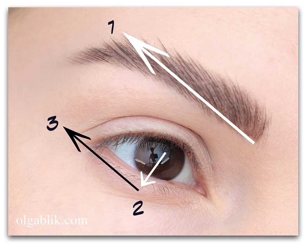 Рисунок стрелки на глаза. Стрелки на глазах схема. Схема рисования стрелок. Стрелка на глазах схема. Схема построения стрелки на глазах.